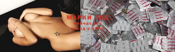 индика Богородск