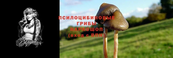 эйфоретик Богородицк