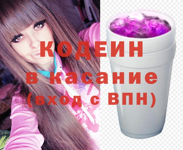 индика Богородск