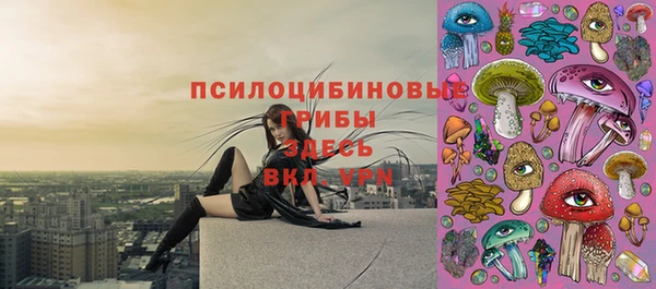 СК Белокуриха