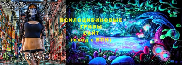индика Богородск